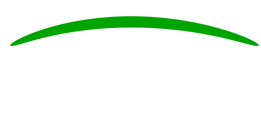 Canopy